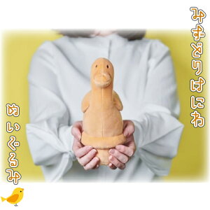 yӂ邳Ɣ[ŁzNo.237 ݂ǂ͂ɂ@ʂ ^   f |GXe |vs  {