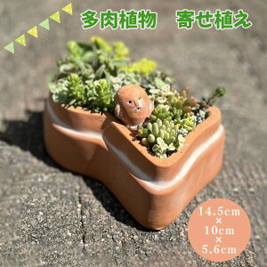 yӂ邳Ɣ[ŁzNo.275 O~̑A񂹐A ^ Õ eRb^  ͂ɂ   {