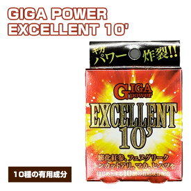 【ふるさと納税】No.307 GIGA POWER EXCELLENT 10’ ／ サプリメント サプリ 送料無料 大阪府