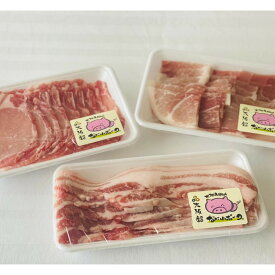 【ふるさと納税】大阪産ブランド豚「なにわポーク」の焼き肉セット