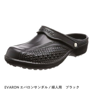 yӂ邳Ɣ[Łz EVARONGoT_wlpubN y Go T_ wlp M-L Vf EVARON C y _炩 L L a@  Ì { z