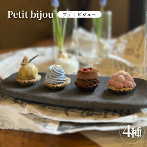【ふるさと納税】ローケーキ petit bijou(プティビジュ) 【 ケーキ ビジュー ローチョコ ほうじ茶 ホイップクリーム ブルーベリー デザート スイーツ おやつ 贈り物 】