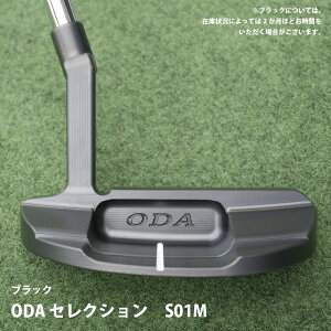 yӂ邳Ɣ[ŁzODA ZNV S01M (GX[C`G) y m[bL/ubN zy}bg^ NNlbN ODAZNV St p^[ StNuz