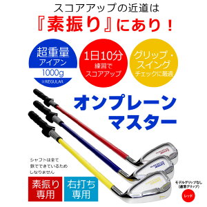 【ふるさと納税】【右打ち用】LAROUGE (ラルージュ)オンプレーンマスター練習器 - 重さとグリップを選べる素振り用アイアン【 ゴルフ アイアン 練習用 素振り スコアアップ グリップ 選べ