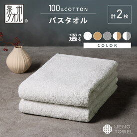 【ふるさと納税】選べるカラー！【泉州タオル】吸水力と肌触りが自慢のデイリーユースバスタオル 2枚【配送不可地域：北海道・沖縄・離島】