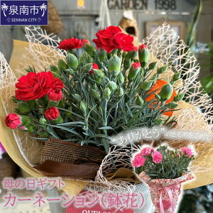 �y�ӂ邳�Ɣ[�Łz�y��̓��M�t�g�z���ꂳ��ւ̃v���[���g�ɁI�J�[�l�[�V�����i���ԁj