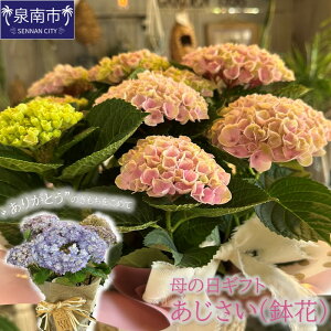 �y�ӂ邳�Ɣ[�Łz�y��̓��M�t�g�z���ꂳ��ւ̃v���[���g�ɁI���������i���ԁj