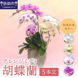 �y�ӂ邳�Ɣ[�Łz�A�����W�~�f�B�Ӓ��� 5�{���y�z���s�n��F�k�C���E����E�����z