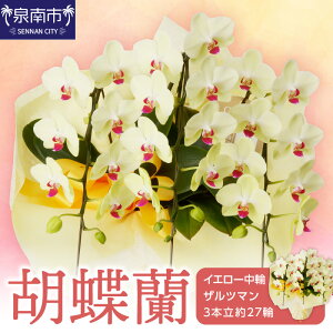 yӂ邳Ɣ[ŁzӒ CG[փUc}3{ 27