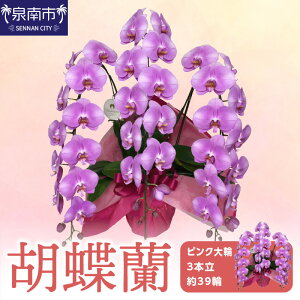 yӂ邳Ɣ[ŁzӒ sN3{ 39