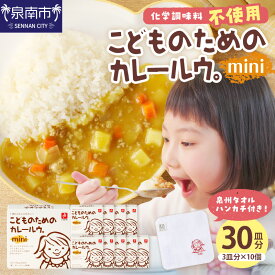【ふるさと納税】こどものためのカレールウセット カレー かれー カレールー 子ども 子供 10個 詰め合わせ ハンカチ 子供用 泉南市 送料無料