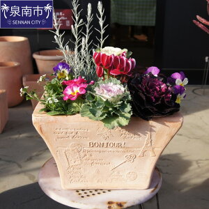 yӂ邳Ɣ[ŁzG߂̉Ԃ̊񂹐A 35cm sbNt