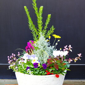 【ふるさと納税】季節の花の寄せ植え 30cm鉢 ピック付き