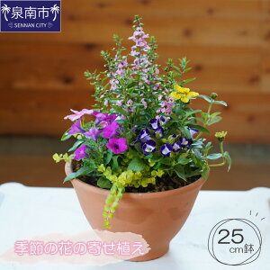 yӂ邳Ɣ[ŁzG߂̉Ԃ̊񂹐A 25cm 񂹐A A    ͂ A G  ӏܗp t[Mtg