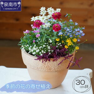 yӂ邳Ɣ[ŁzG߂̉Ԃ̊񂹐A 30cm 񂹐A A    ͂ A G  ӏܗp
