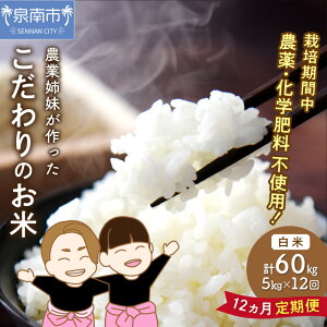 yӂ邳Ɣ[Łz_Ǝoč͔|Î 5kg 1N    5L