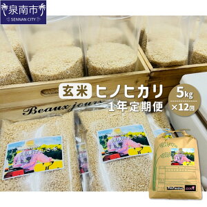 【ふるさと納税】農業姉妹がこだわって栽培!玄米5kg1年定期便 玄米 お米 米 ふるさと納税 米 ふるさと納税 お米 定期便 お米定期便
