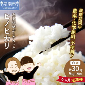 【ふるさと納税】農業姉妹がこだわって栽培!白米5kg半年定期便 定期便 米 こめ 5キロ ヒノヒカリ
