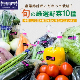 【ふるさと納税】農業姉妹がこだわって栽培！旬の厳選野菜10種