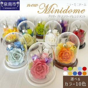 【ふるさと納税】ニューミニドーム プリザーブドフラワー アレンジメント