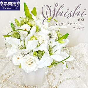 yӂ邳Ɣ[ŁzÎ shishi vU[uht[AW   vU[uht[ v[g