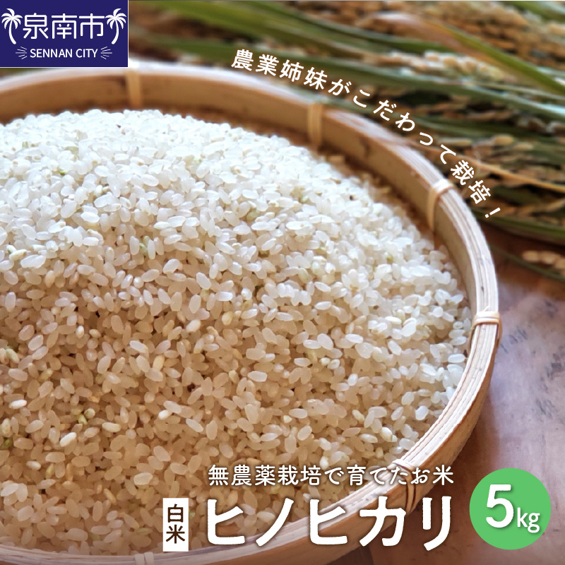 新米無農薬レンゲ草米ひのひかり、玄米10kg新米 S8atzXICp7