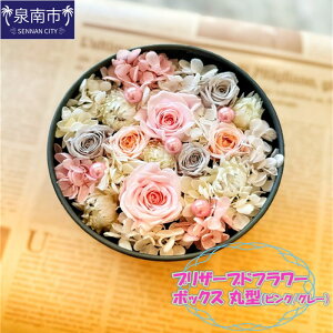yӂ邳Ɣ[ŁzvU[uht[{bNX ی^isN/O[jyzsnFkCEEz