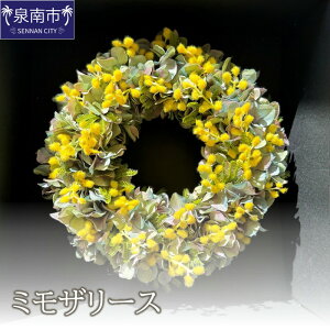 yӂ邳Ɣ[Łz~Ut[[XyzsnFkCEEz