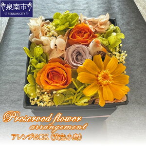 yӂ邳Ɣ[ŁzvU[uht[AW{bNXiFjyzsnFkCEEz