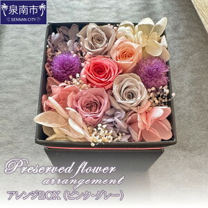 yӂ邳Ɣ[ŁzvU[uht[AW{bNXisNO[jyzsnFkCEEzy072D-117z