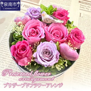 yӂ邳Ɣ[ŁzvU[uht[AWyzsnFkCEEz