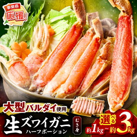 【ふるさと納税】数量限定 選べる 内容量 ・配送月！生ズワイガニむき身 ハーフポーション 大型バルダイ使用 約1kg 約2kg 約3kg 【ふるさと納税3.0】