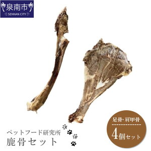 yӂ邳Ɣ[Łzybgt[h YY Zbg4Zbg(e2)