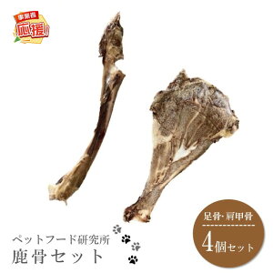 yӂ邳Ɣ[Łzybgt[h YY Zbg4Zbg(e2)yӂ邳Ɣ[3.0z