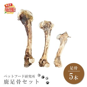 yӂ邳Ɣ[Łzybgt[h YY 5{Zbgyӂ邳Ɣ[3.0z