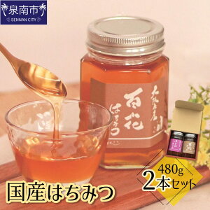 【ふるさと納税】国産はちみつ480g 2本セット 蜂蜜 国産 ヤマザクラ 百花蜜 さくら蜂蜜 ギフト 贈り物 セット 詰め合わせ【配送不可地域:北海道・沖縄県・離島】
