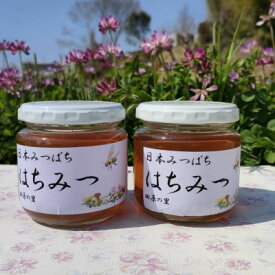 【ふるさと納税】【2023年度産 採蜜】日本みつばちが集めた貴重なはちみつ(百花蜜)をお届けします。【1151556】