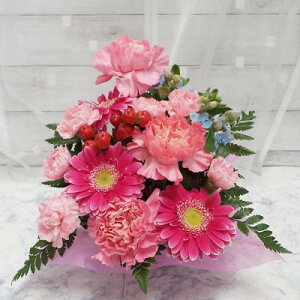 yӂ邳Ɣ[ŁzC AWg  j@FIщyzsnFzyG1343522z