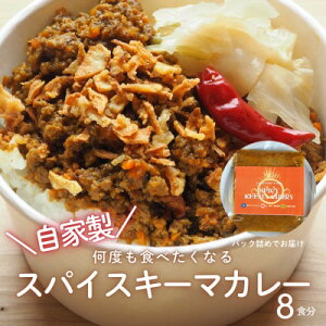 【ふるさと納税】RUTA自家製スパイスキーマカレー計1.6kg【配送不可地域:離島】【1662623】