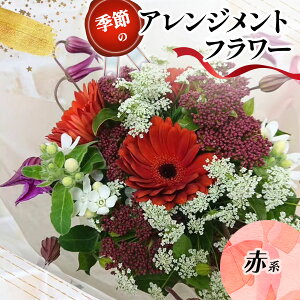 �y�ӂ邳�Ɣ[�Łz�G�߂̃A�����W�����g�t�����[ (�I�ׂ�J���[5�F) �b�Ԍn ���F�E�I�����W�n �s���N�n ���n ���E�O���[���n [0208p-0212]