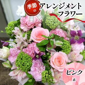 yӂ邳Ɣ[ŁzG߂̃AWgt[ (IׂJ[5F) bԌn FEIWn sNn n EO[n [0208p-0212]