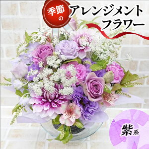 yӂ邳Ɣ[ŁzG߂̃AWgt[ (IׂJ[5F) bԌn FEIWn sNn n EO[n [0208p-0212]