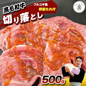 yӂ邳Ɣ[Łz̊^T јa t ؂藎Ƃ 500g (vRM) [0213]