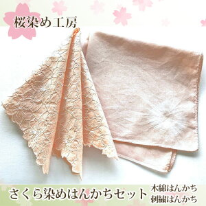 yӂ邳Ɣ[ŁzNo.223 ߂͂񂩂Zbg ^ F sN  nJ`  {