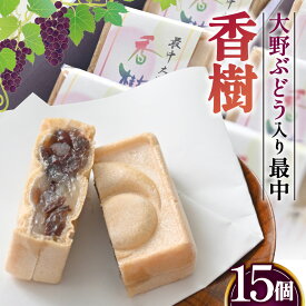 【ふるさと納税】 最中　大野ぶどう　香樹 ／ 最中 もなか 和菓子 大野ぶどう 自家製干しぶどう 二色餡 15個入り 甘み 食感 ぶどう100％ 常温便 翠月庵 手作り お茶菓子 贈答 No.058