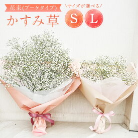 【ふるさと納税】【指定日必須】かすみ草 花束 ＜選べる＞Sサイズ or Lサイズ｜ 花 花束 生花 カスミソウ フラワーフラワーギフト お祝い 母の日 入学祝い 卒業祝い 歓送迎会 成人式 引越し祝い 入学式 卒業式 大阪府 阪南市 送料無料