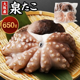 【ふるさと納税】大阪産 泉タコ（生たこ）650g（1杯～3杯） タコ 蛸 生ダコ たこ焼き 唐揚げ タコ刺し 刺し身 お取り寄せ ギフト 贈答用 プレゼント 送料無料