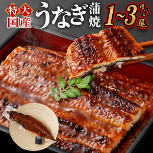 yӂ邳Ɣ[ŁzY ȂĂ ^ ZbgIׂ e / z 1 / 2 / 3bȂ V lC Y  Ă ^t Ђ܂Ԃ  Ⓚ Mtg 蕨 p 