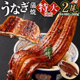 【ふるさと納税】国産「特大うなぎ蒲焼」2尾 460〜500g 特製タレ2個セット うなぎ 鰻 ウナギ 人気 国産 蒲焼 蒲焼き unagi 土用の丑の日 グルメ タレ付き ひつまぶし 高級 冷凍 2尾 特大 ギフト 贈り物 贈答用 プレゼント 送料無料