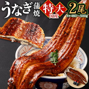yӂ邳Ɣ[ŁzYu傤Ȃāv2 460`500g ^2Zbg Ȃ V EiM lC Y  Ă unagi yp̉N̓ O ^t Ђ܂Ԃ  Ⓚ 2  Mtg 